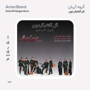 گروه آریان گل آفتابگردون