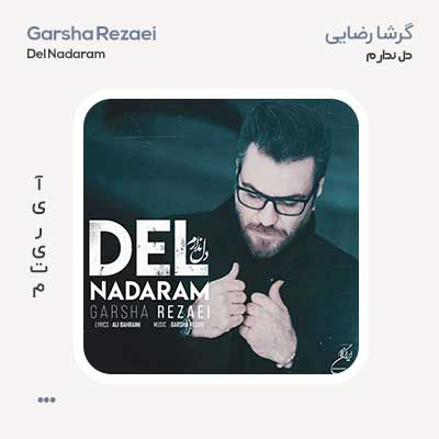 گرشا رضایی دل ندارم