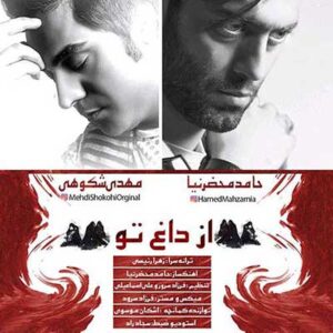 حامد محضرنیا از داغ تو