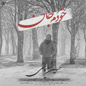 حسین سلیمانی خودم جان حسین سلیمانی خودم جان