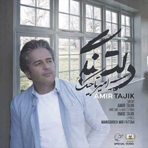 امیر تاجیک دلتنگی