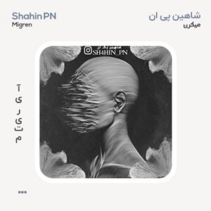 شاهین پی ان میگرن