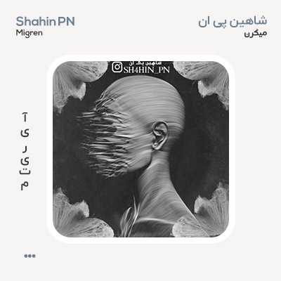 شاهین پی ان میگرن