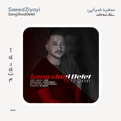 سعید ضیایی سنگ شد دلت