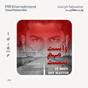 محمدرضا خردمند واست مهم نیست