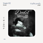 یاسین وای زد دودل