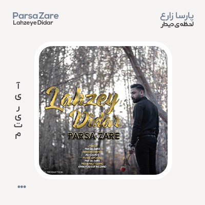 پارسا زارع لحظه ی دیدار