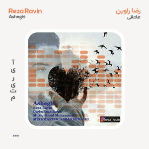 رضا راوین عاشقی