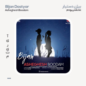 بیژن دستیار عاشقش بودم