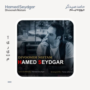 حامد صیدگر دیوونه نیستم