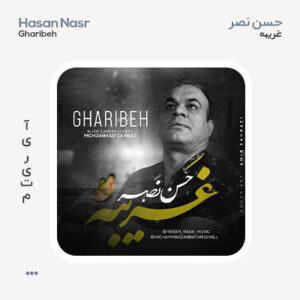 حسن نصر غریبه