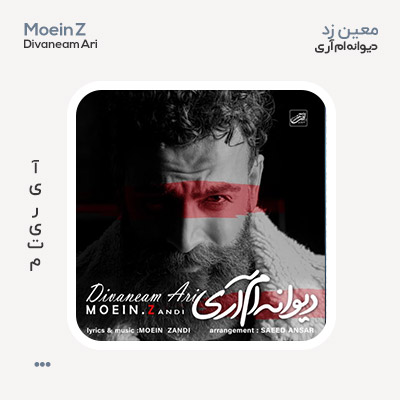 معین زد دیوانه ام آری