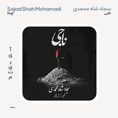سجاد شاه محمدی ناجی