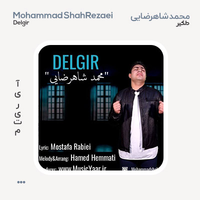 محمد شاهرضایی دلگیر