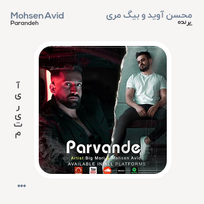 محسن آوید و بیگ موری پرونده