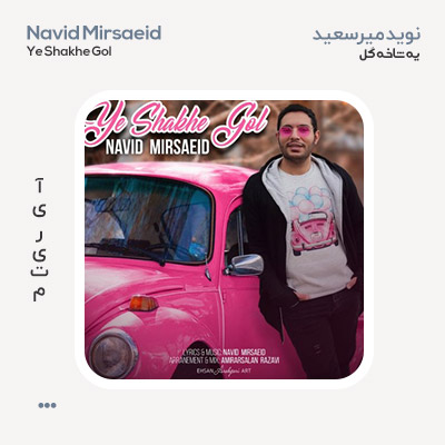 نوید میرسعید یه شاخه گل