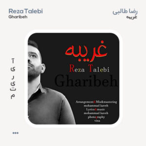 رضا طالبی غریبه