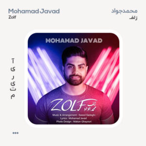محمد جواد زلف