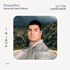 پویا دری دارم از یاد تو میرم