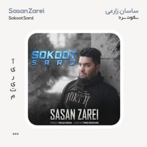 ساسان زارعی سکوت سرد