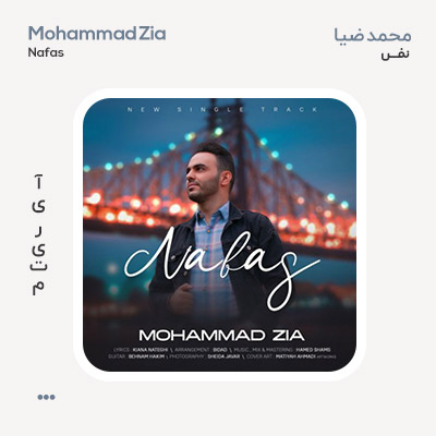 محمد ضیا نفس