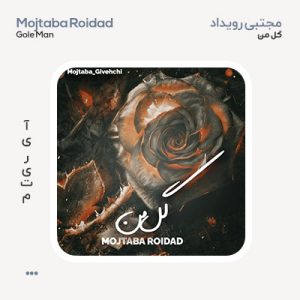 مجتبی رویداد گل من مجتبی رویداد گل من