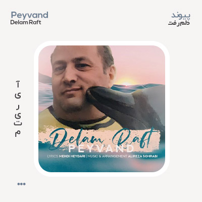 پیوند دلم رفت پیوند دلم رفت