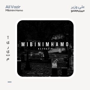 علی وزیر میبینیم همو