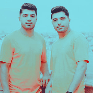 دوقلو ها