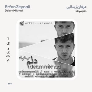 عرفان زینالی دلم میخواد