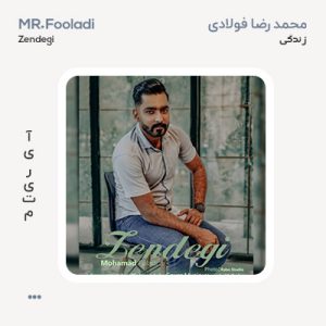 محمدرضا فولادی زندگی