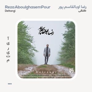 رضا ابوالقاسم پور دلتنگی