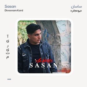 ساسان دیوونم کرد