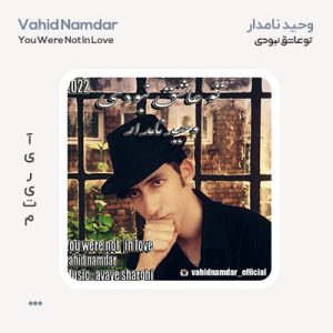 وحید نامدار تو عاشق نبودی