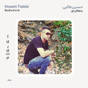حسین طالبی بد هاکردی حسین طالبی بد هاکردی