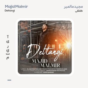 مجید مالمیر دلتنگی