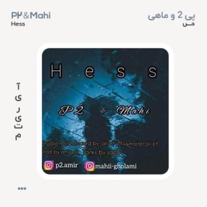 پی ۲ و ماهی حس