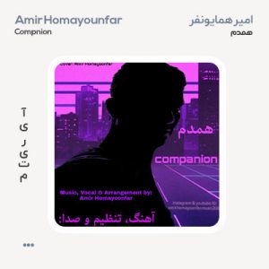 امیر همایونفر همدم امیر همایونفر همدم