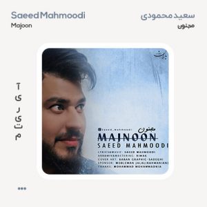 سعید محمودی مجنون سعید محمودی مجنون