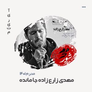 مهدی زارع زاده جا مانده