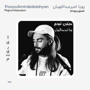 پویا امیرعبداللهیان مجنون نبودم