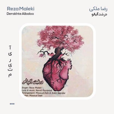 رضا ملکی درخت آلبالو رضا ملکی درخت آلبالو