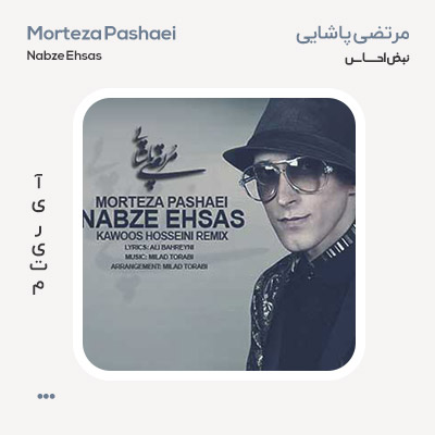 مرتضی پاشایی نبض احساس