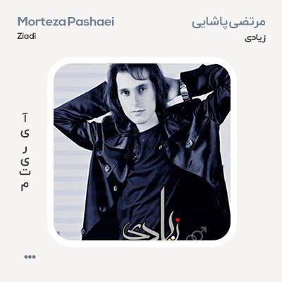 مرتضی پاشایی زیادی