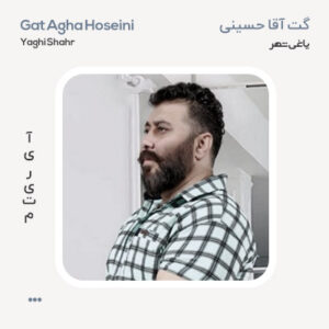 گت آقا حسینی یاغی شهر