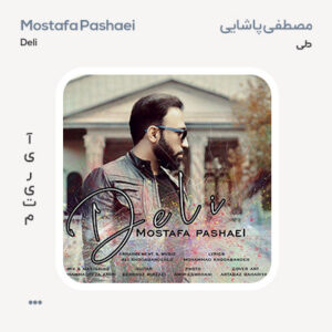 مصطفی پاشایی دلی