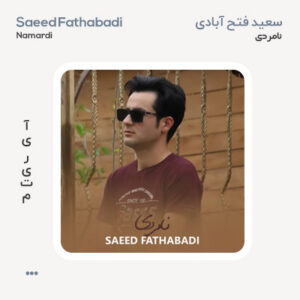 سعید فتح آبادی نامردی