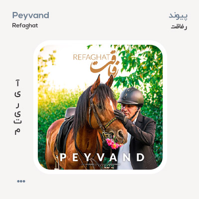 پیوند رفاقت