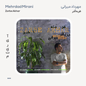 مهرداد میرانی ضربه آخر