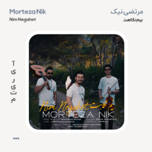 مرتضی نیک نیم نگاهت